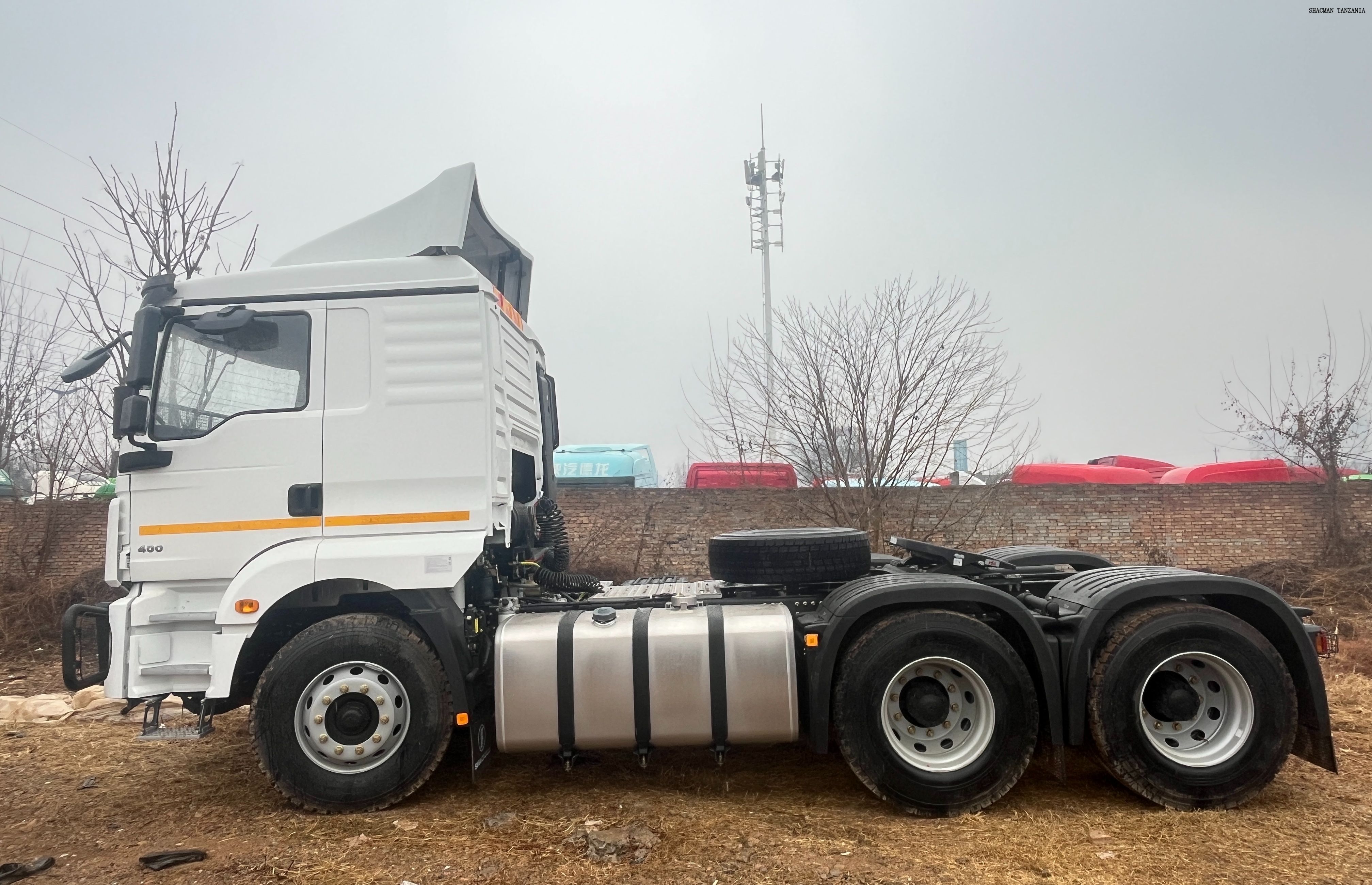 SHACMAN H3000 horse for Tanzania for sale 6*4 
