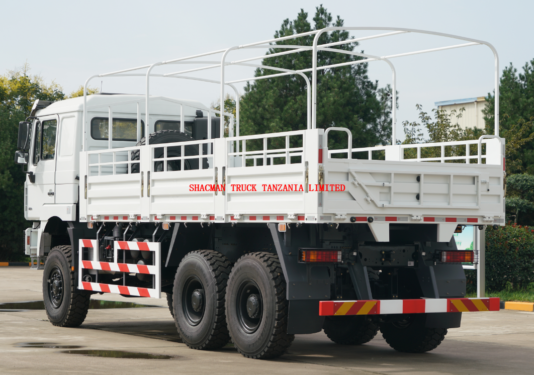 6-wheel 6*6 SHACMAN F3000 cargo truck for off-road rough work for sale