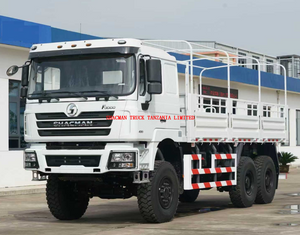 6-wheel 6*6 SHACMAN F3000 cargo truck for off-road rough work for sale