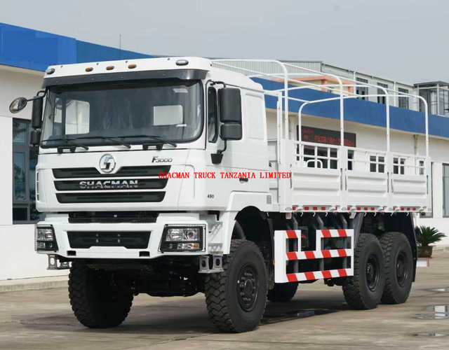6-wheel 6*6 SHACMAN F3000 cargo truck for off-road rough work for sale