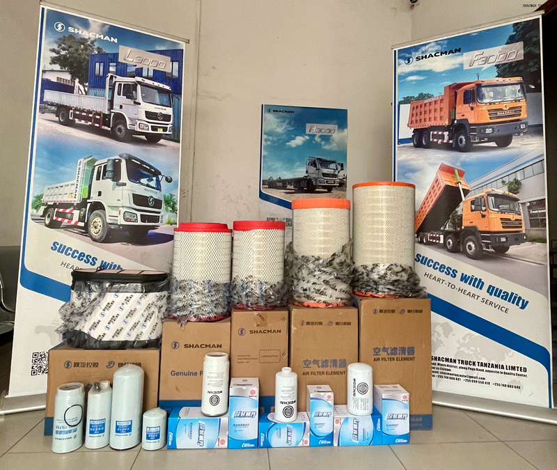filters for SHACMAN trucks