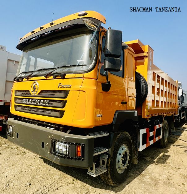 10 wheel 30Ton SHACMAN F3000 dump trucks tipper for sale for Tanzania, Zambia, Zimbabwe, Mozambique, Uganda