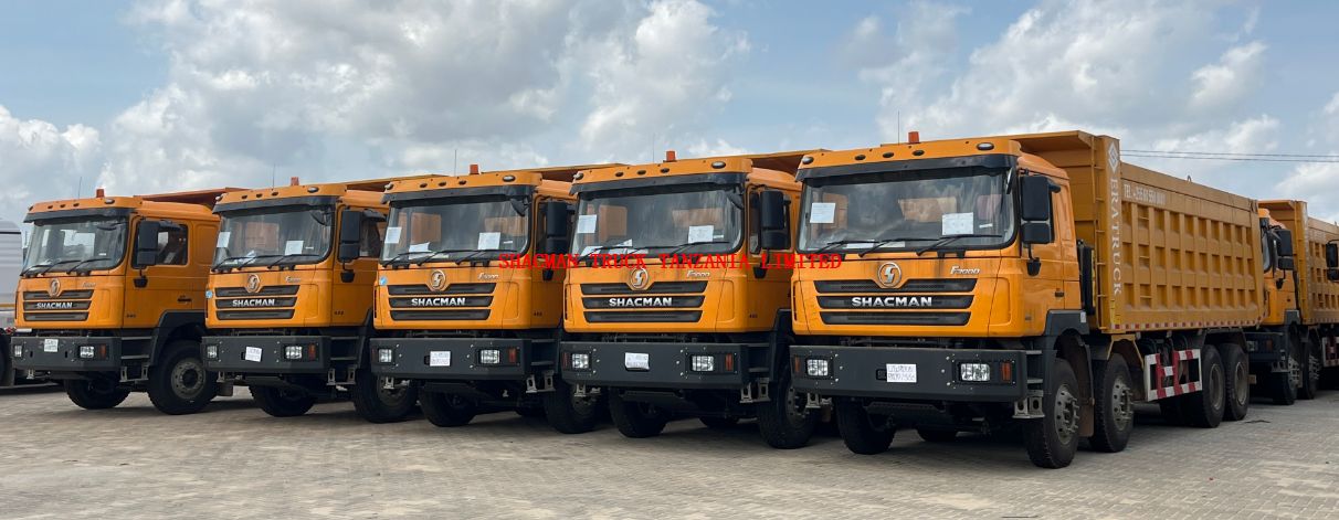 8*4 31cbm SHACMAN F3000 Tipper for sale in mining Area use