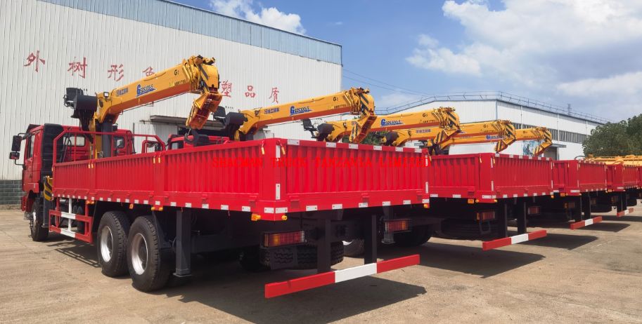 SHACMAN F3000 truck with 12Ton crane available in Tanzania