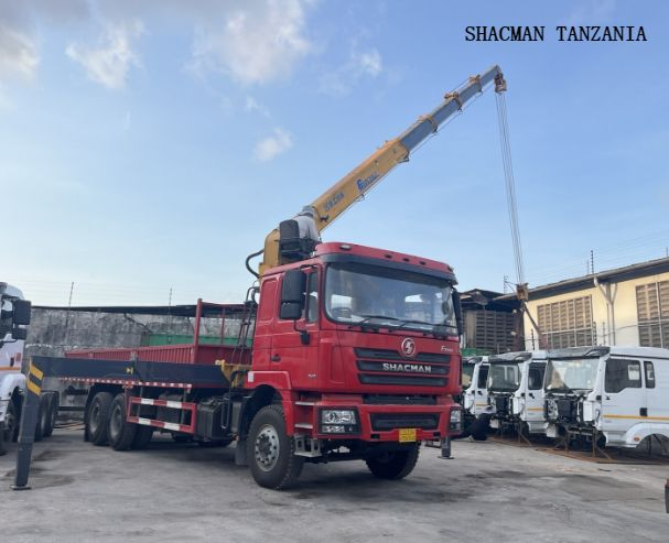 SHACMAN F3000 truck with 12Ton crane