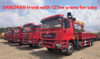SHACMAN F3000 truck with 12Ton crane available in Tanzania