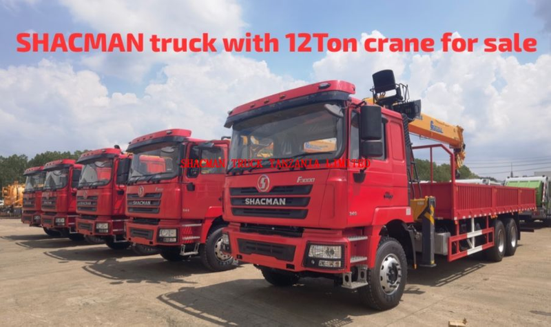 SHACMAN F3000 truck with 12Ton crane available in Tanzania